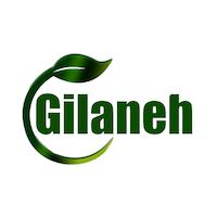 سبزی مارکت گیلانه